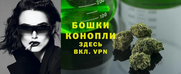 гашик Михайловка