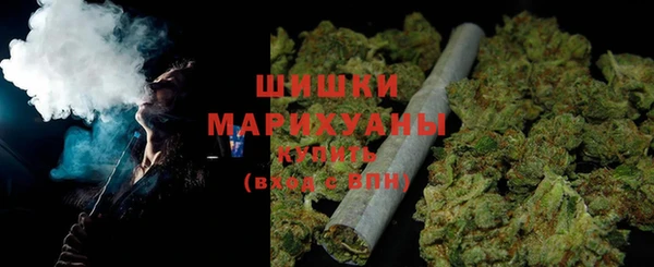 сатива Абинск