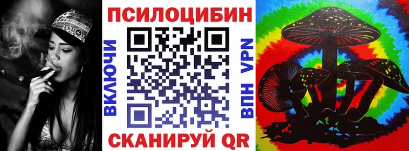 магазин продажи наркотиков  Яхрома  Псилоцибиновые грибы Cubensis 